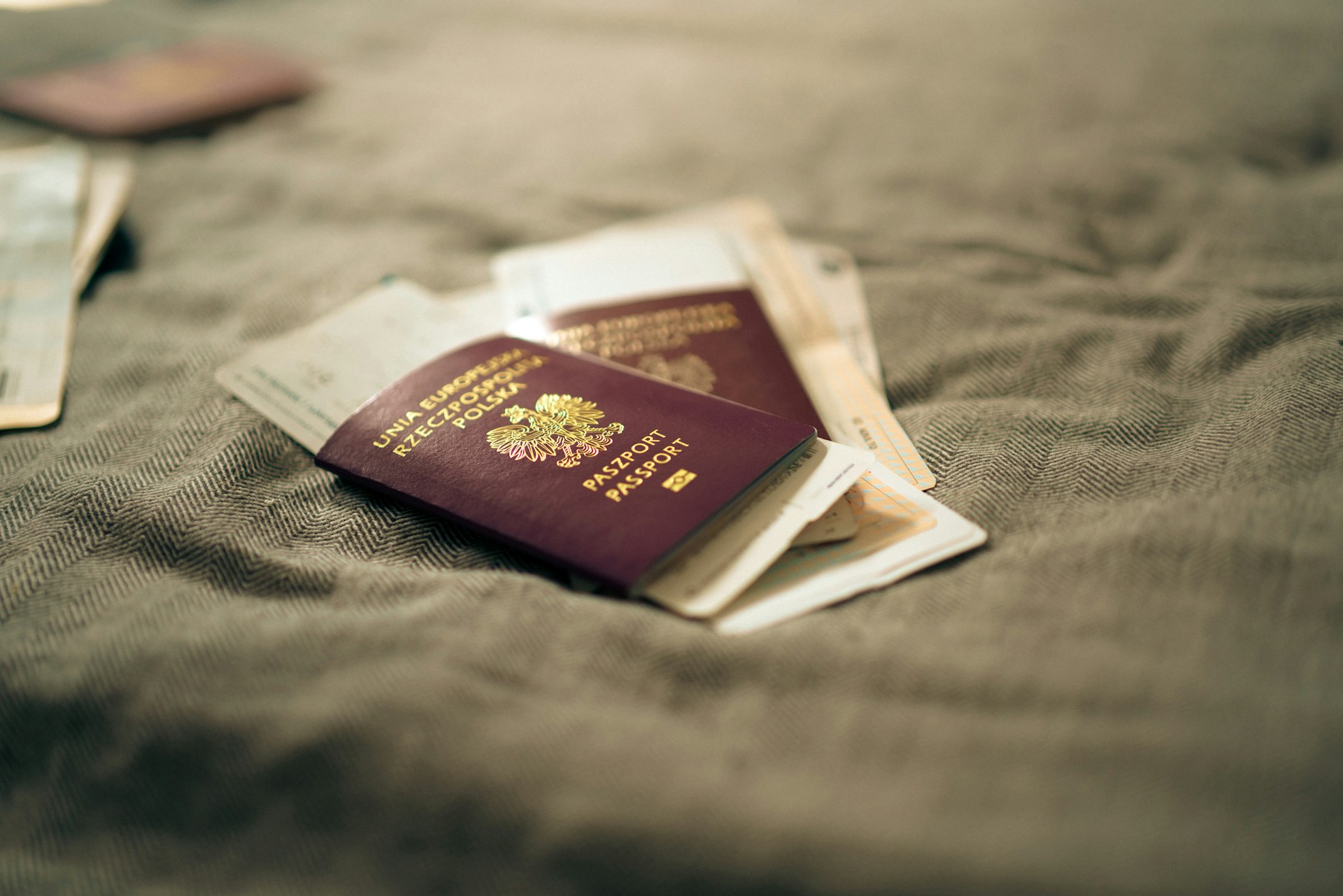 Fake NAATI Translations in Australia: How to Spot Them Before They Cost You